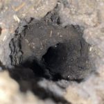 Internal Chimney Inspection with Report