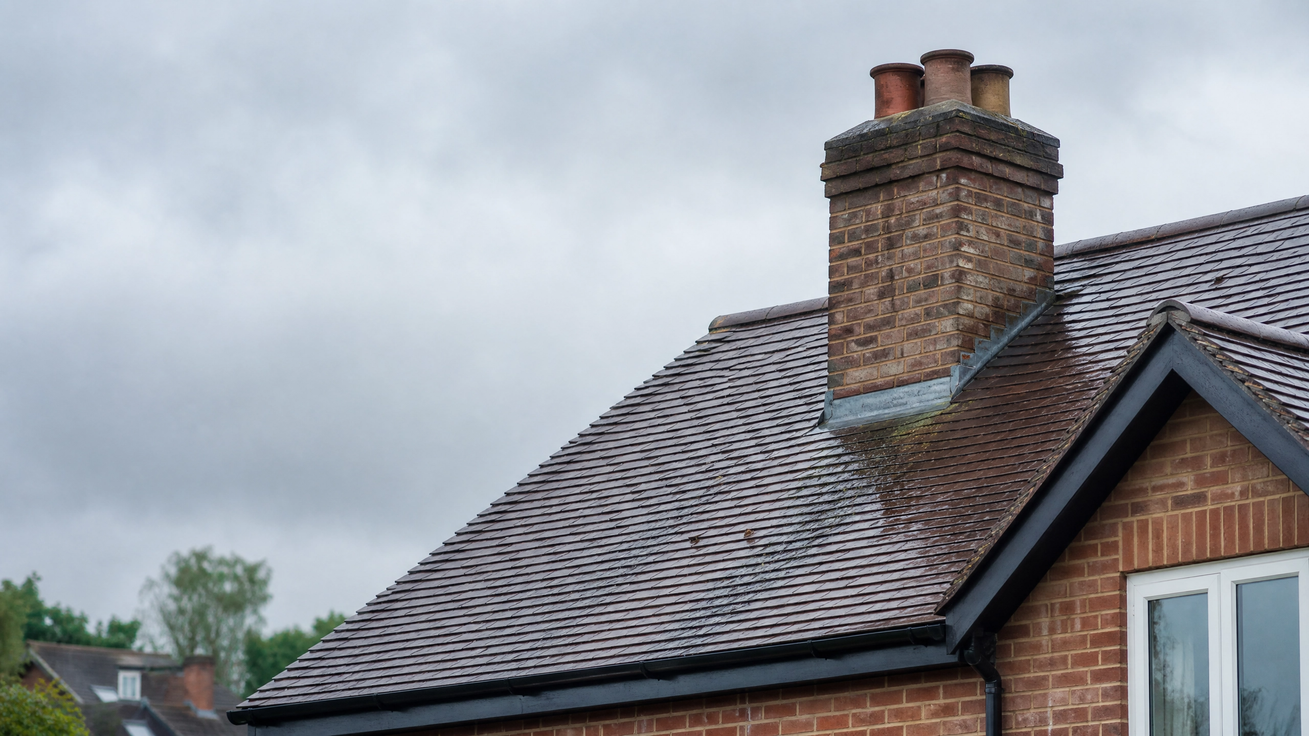 Chimney Repairs & Repointing project 6